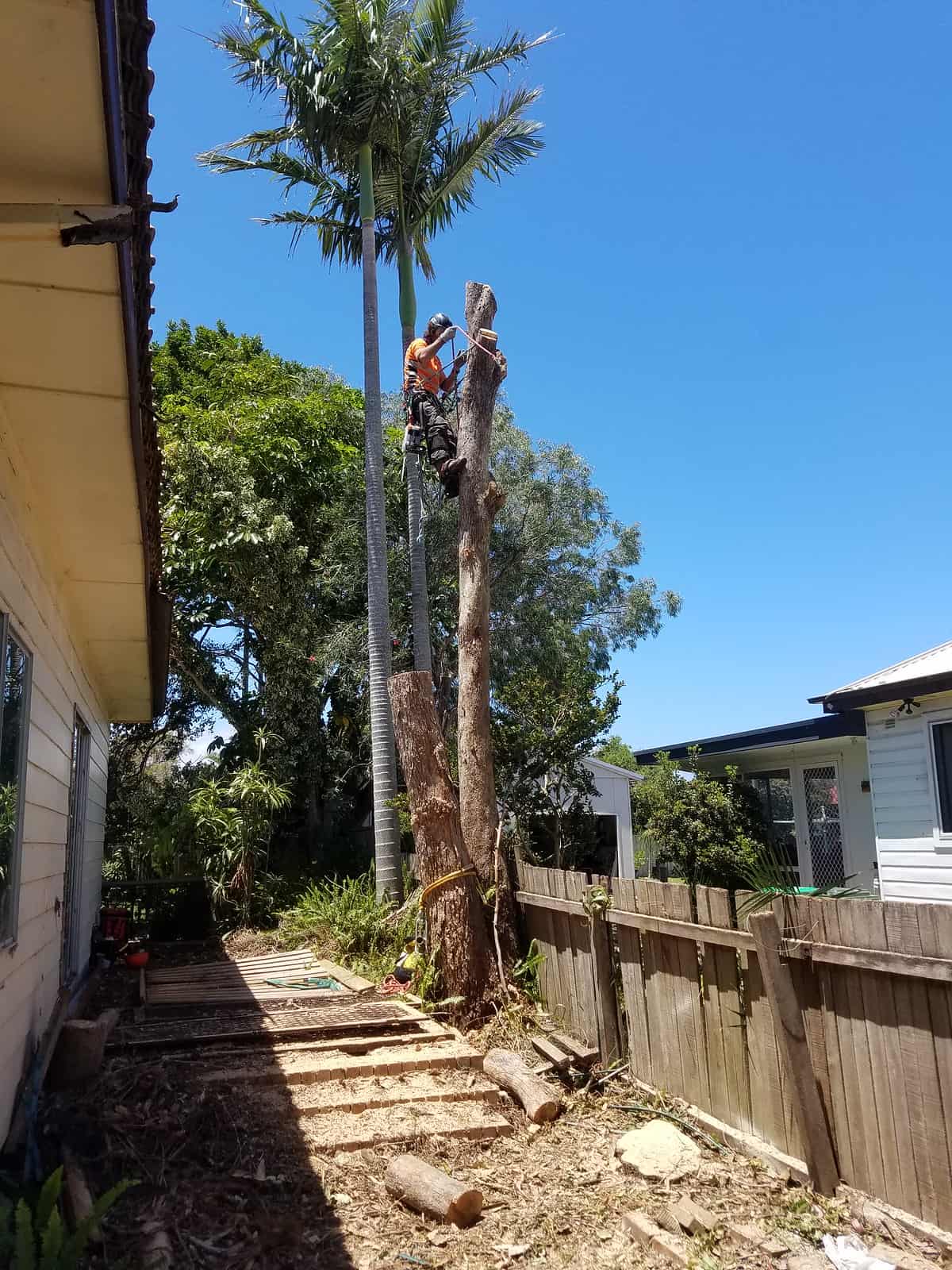 Gallery - Ninja Tree Services