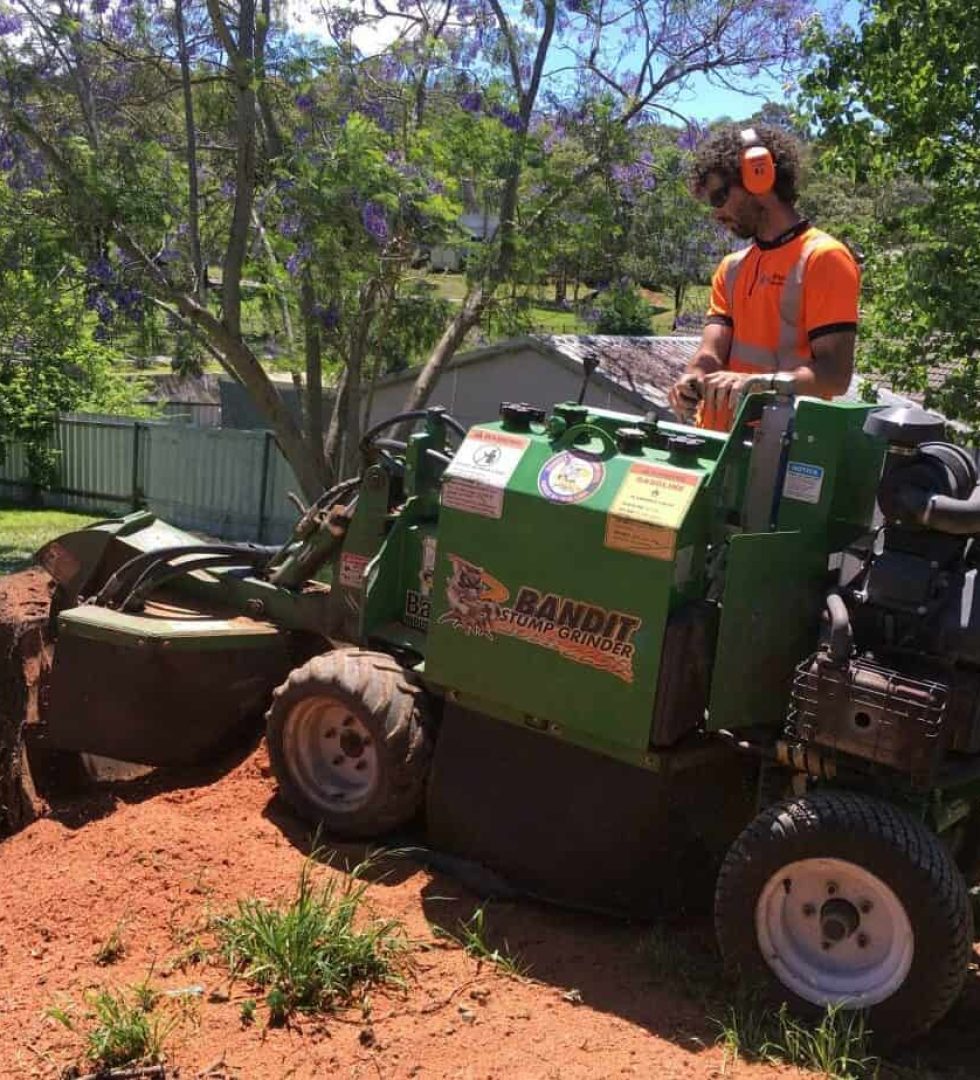 stump-grinding2